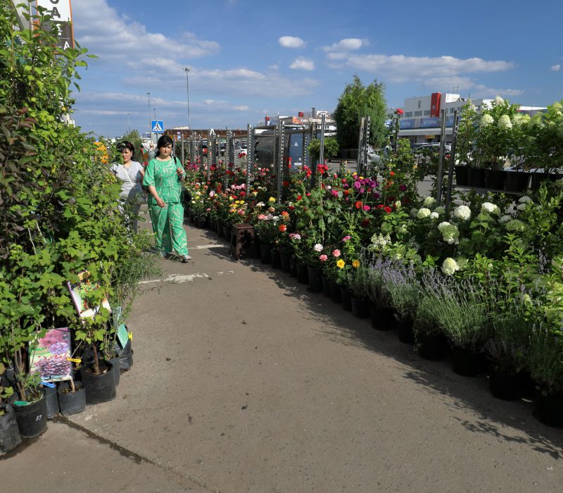 11sadoviy Centr Sadovodtk