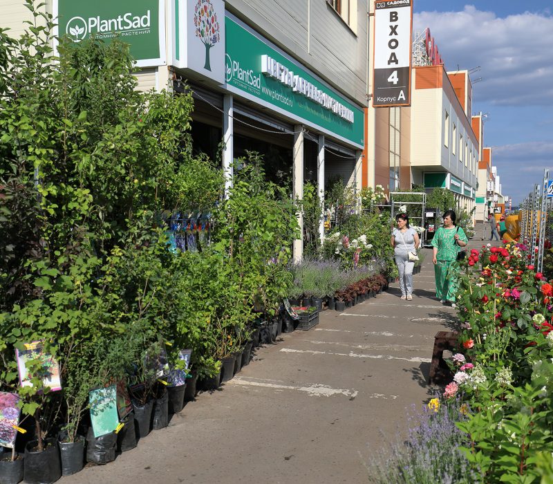 13sadoviy Centr Sadovodtk