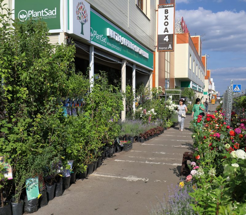 14sadoviy Centr Sadovodtk