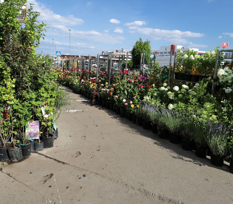 16sadoviy Centr Sadovodtk