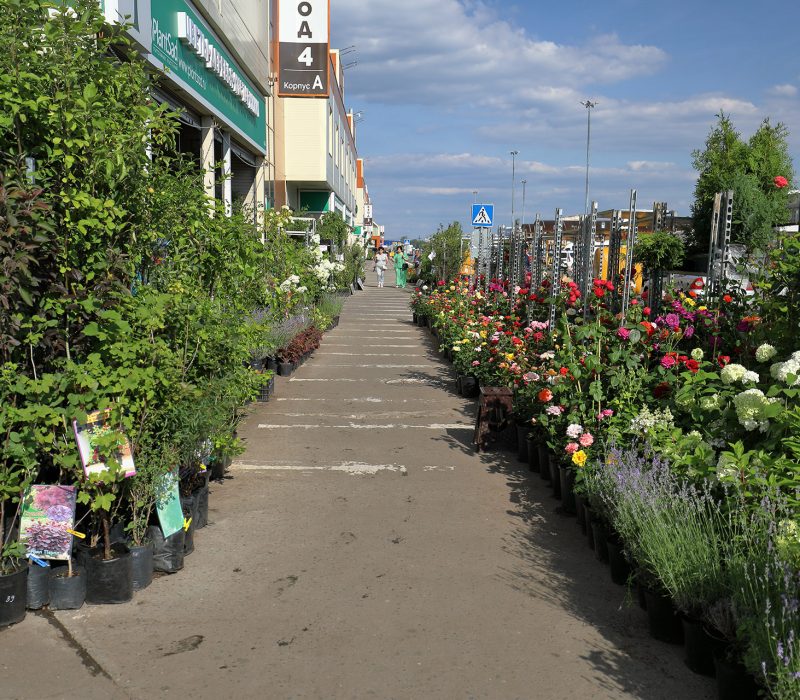 17sadoviy Centr Sadovodtk