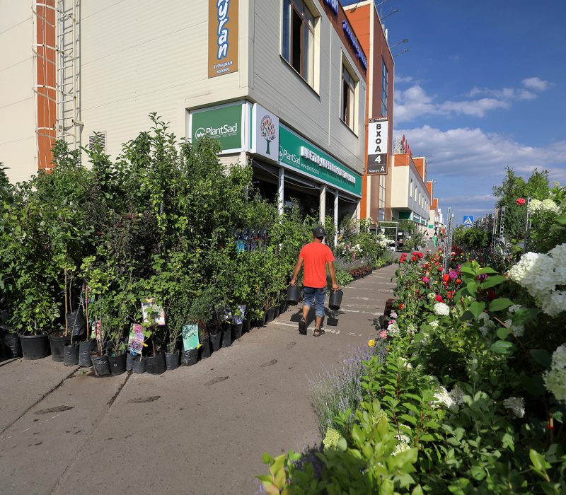 19sadoviy Centr Sadovodtk