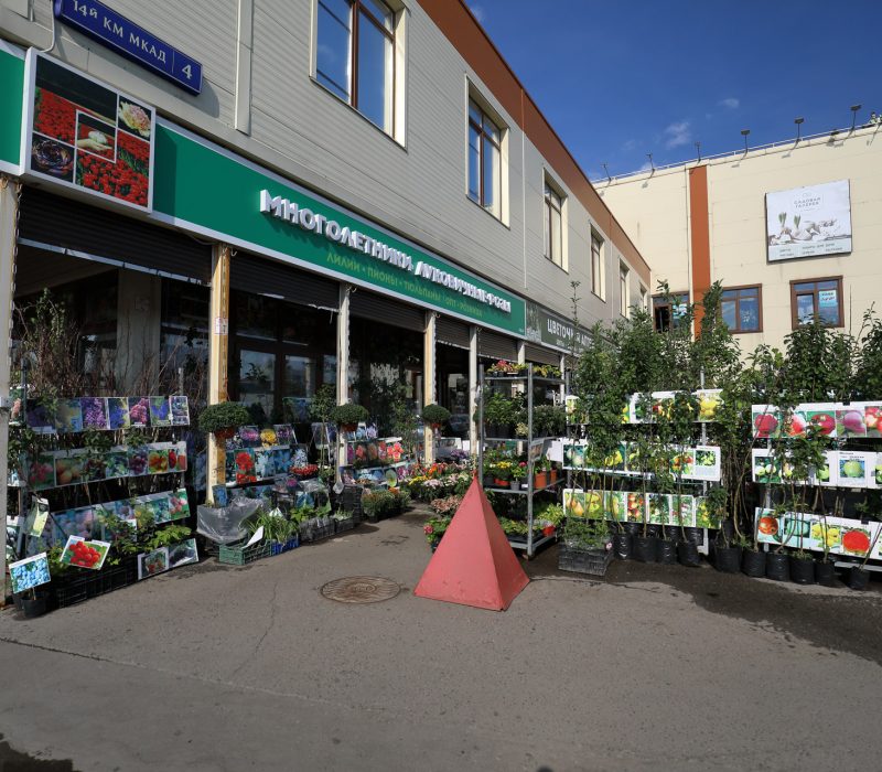 4sadoviy Centr Sadovodtk